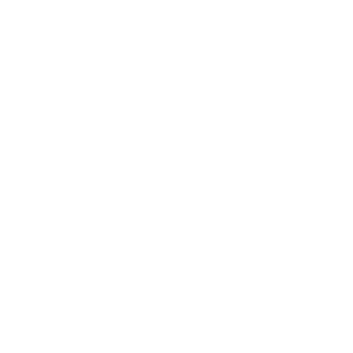 user icon white